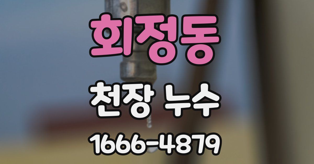 회정동 천장 누수