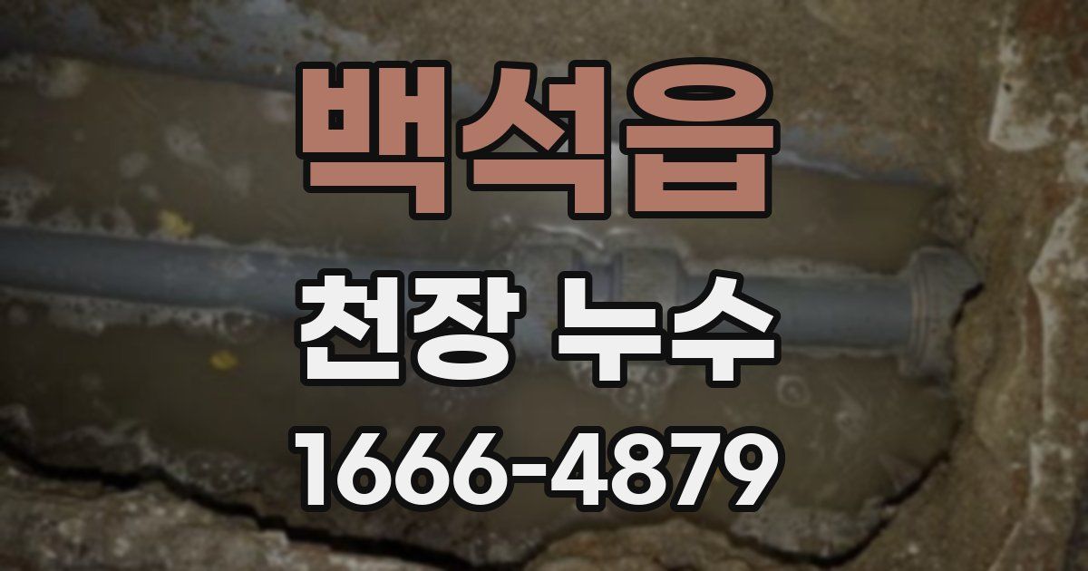 백석읍 천장 누수