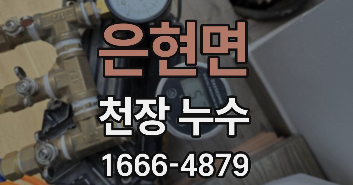 은현면 천장 누수