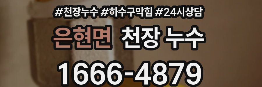 은현면 천장 누수