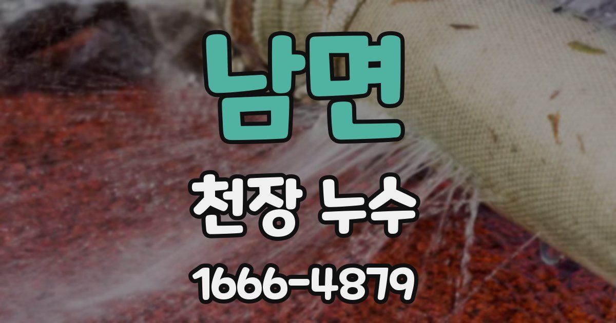 남면 천장 누수