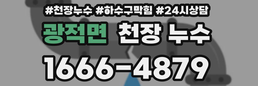 광적면 천장 누수