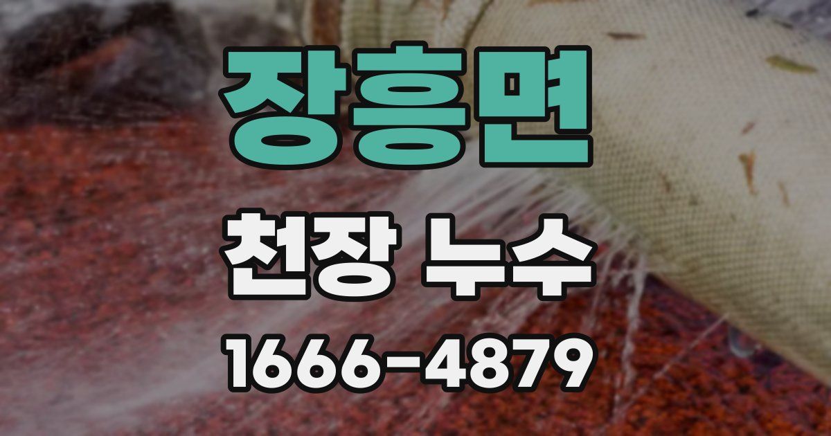 장흥면 천장 누수