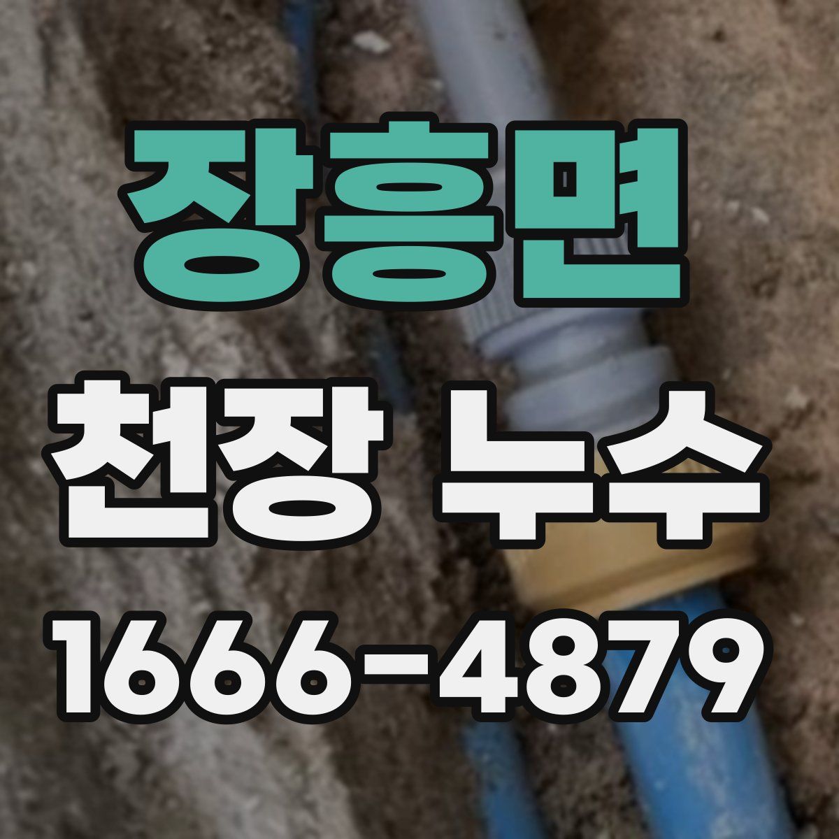 장흥면 천장 누수