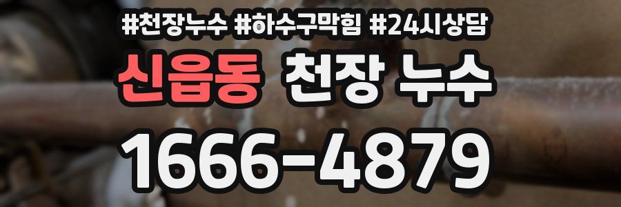 신읍동 천장 누수