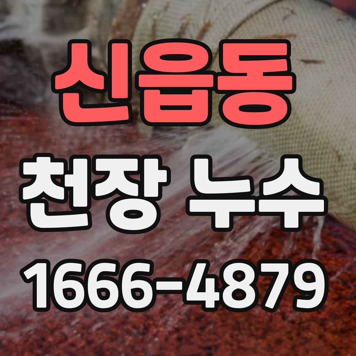 신읍동 천장 누수