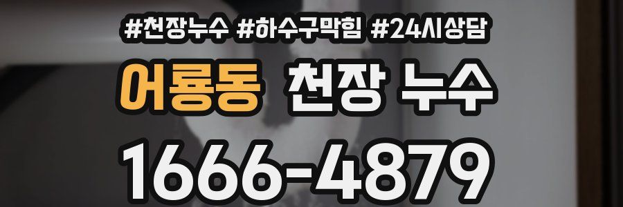 어룡동 천장 누수