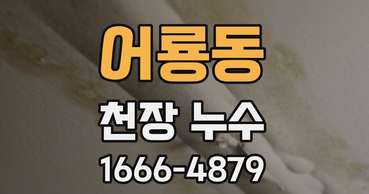 어룡동 천장 누수