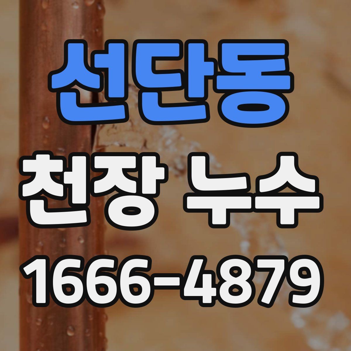 선단동 천장 누수 주방 위쪽 천장 누수, 어떤 경우가 많을까