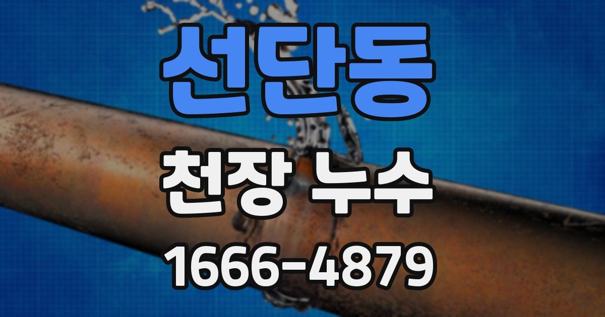 선단동 천장 누수