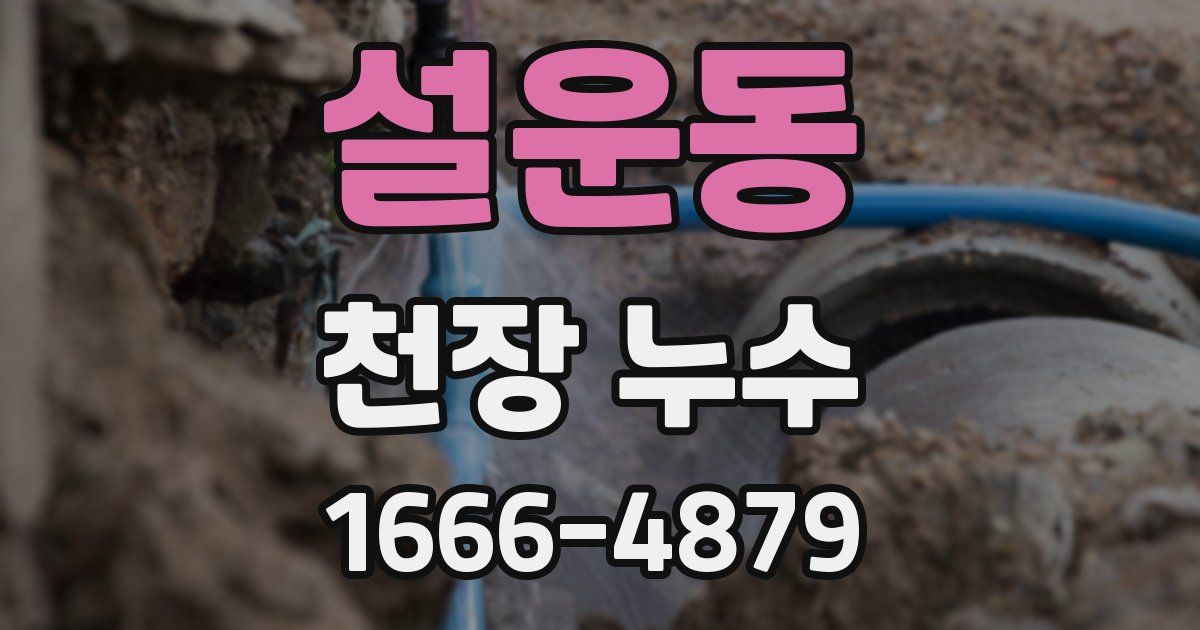 설운동 천장 누수