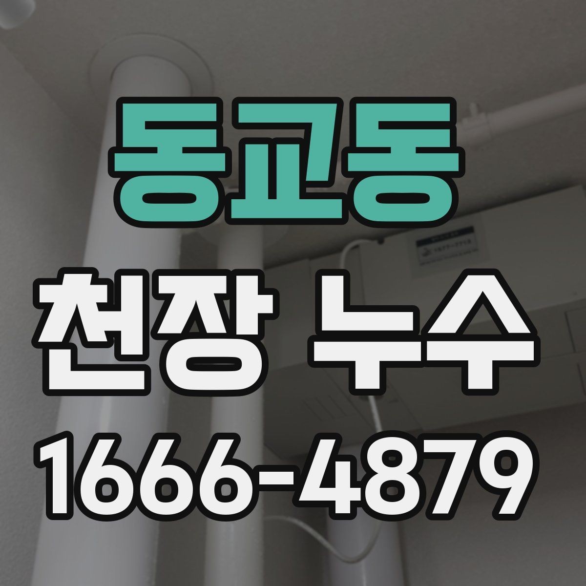 동교동 천장 누수 재발을 줄이는 점검 흐름