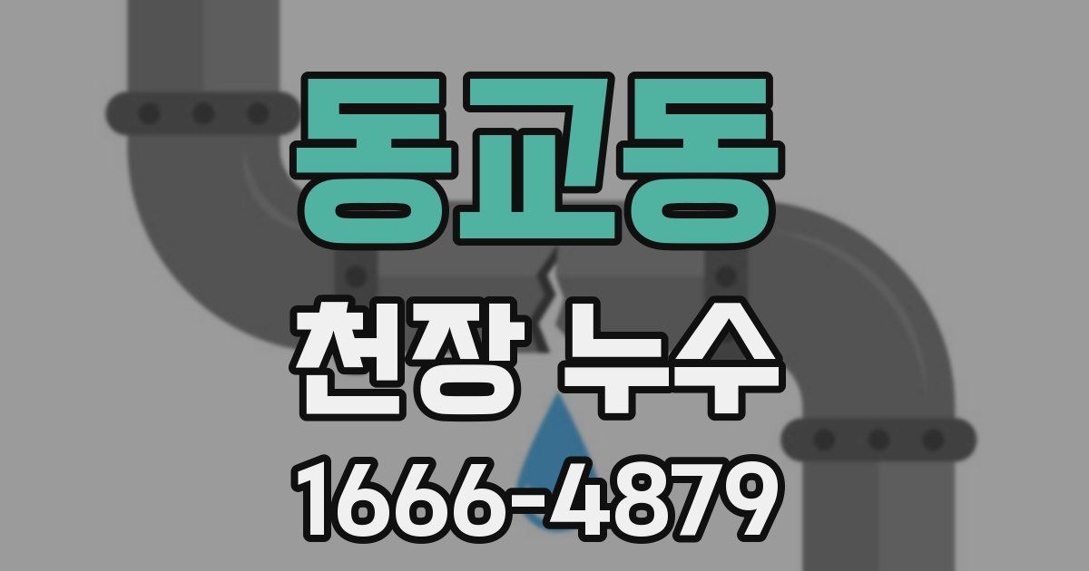 동교동 천장 누수