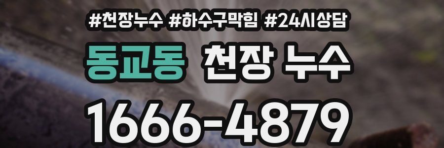 동교동 천장 누수