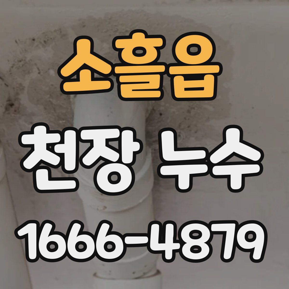 소흘읍 천장 누수