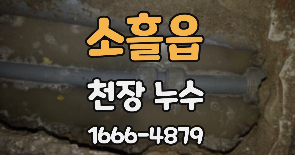 소흘읍 천장 누수