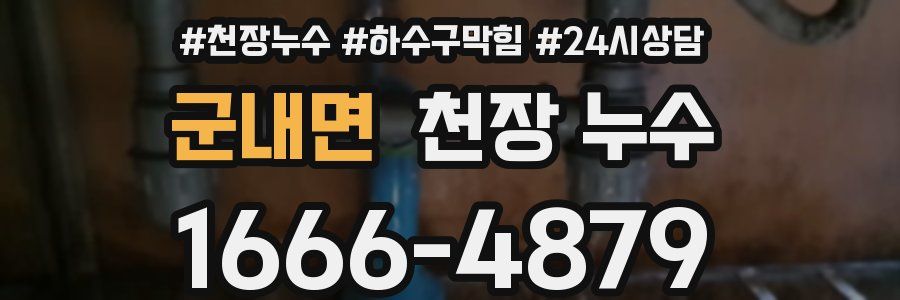 군내면 천장 누수