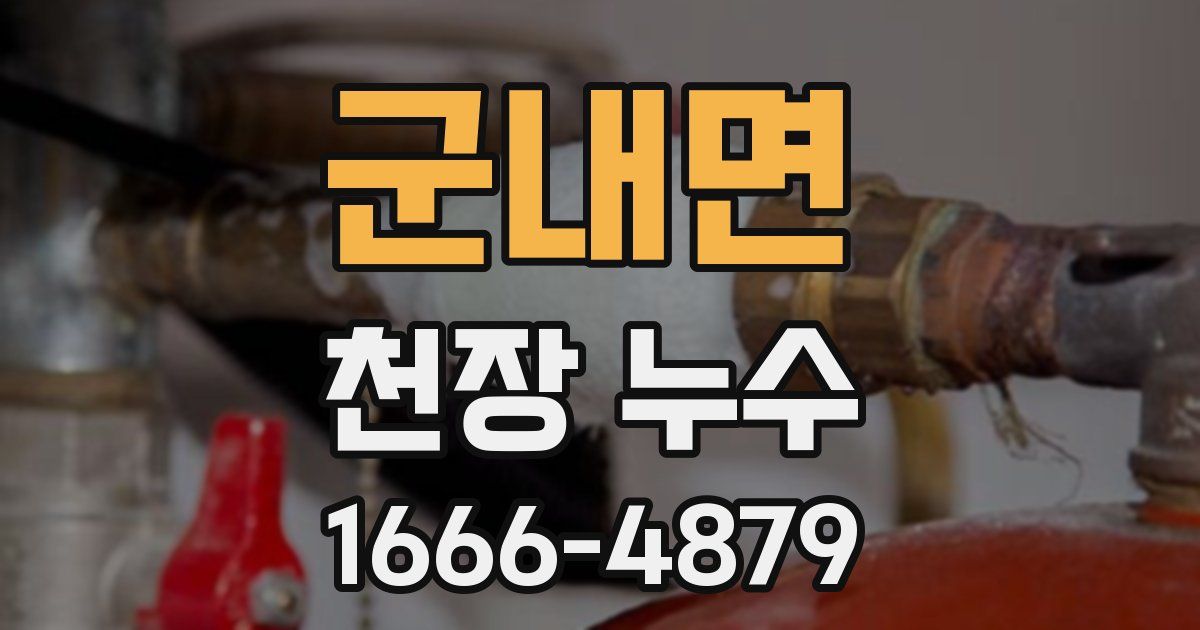 군내면 천장 누수