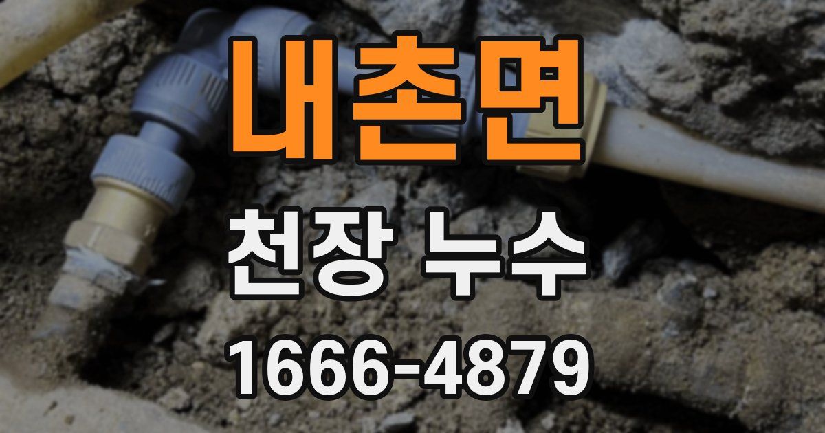 내촌면 천장 누수