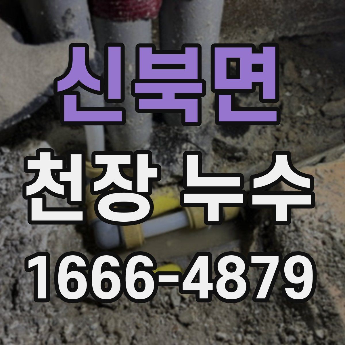 신북면 천장 누수 천장 가까이에서 퀴퀴한 냄새가 올라올 때