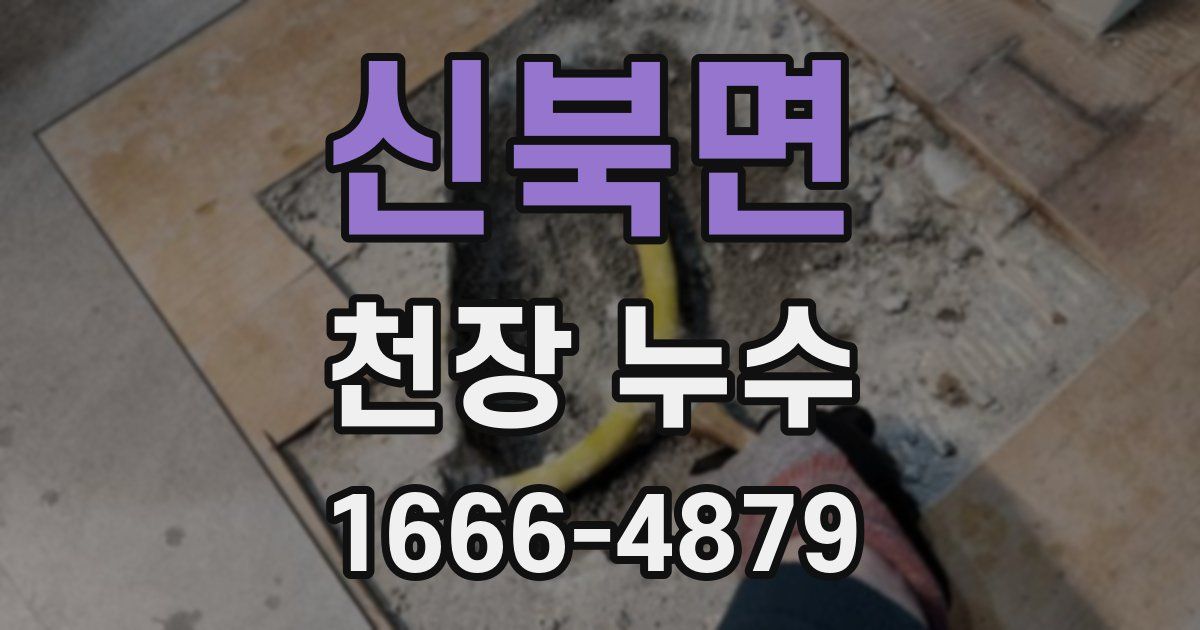 신북면 천장 누수