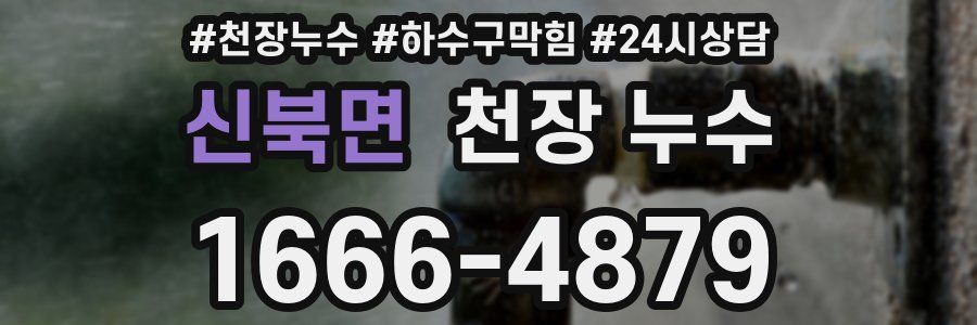 신북면 천장 누수