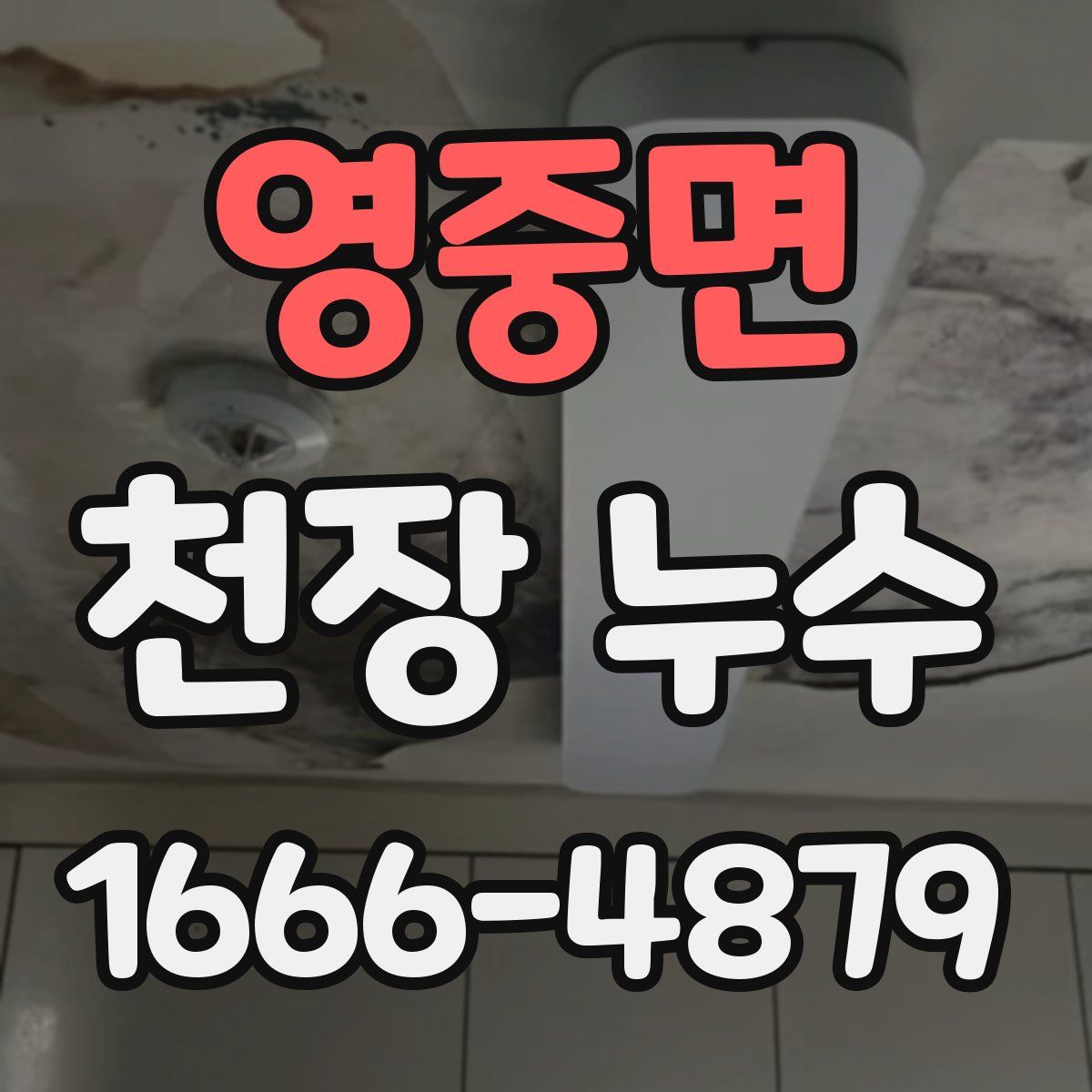 영중면 천장 누수