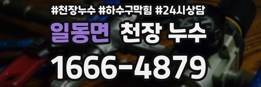 일동면 천장 누수