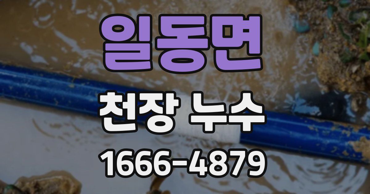 일동면 천장 누수