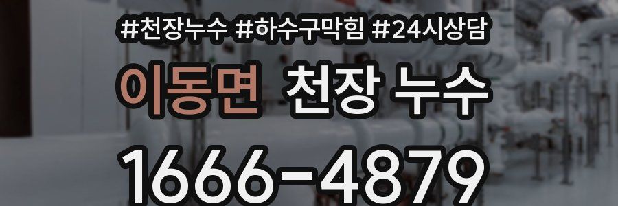 이동면 천장 누수