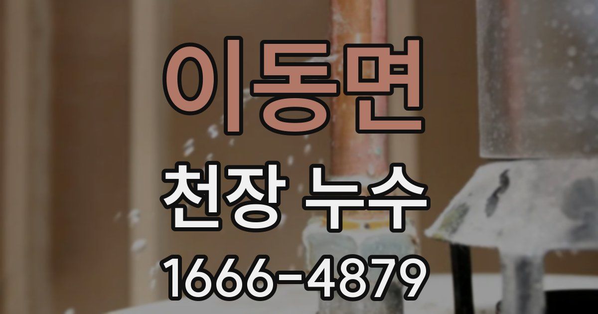 이동면 천장 누수