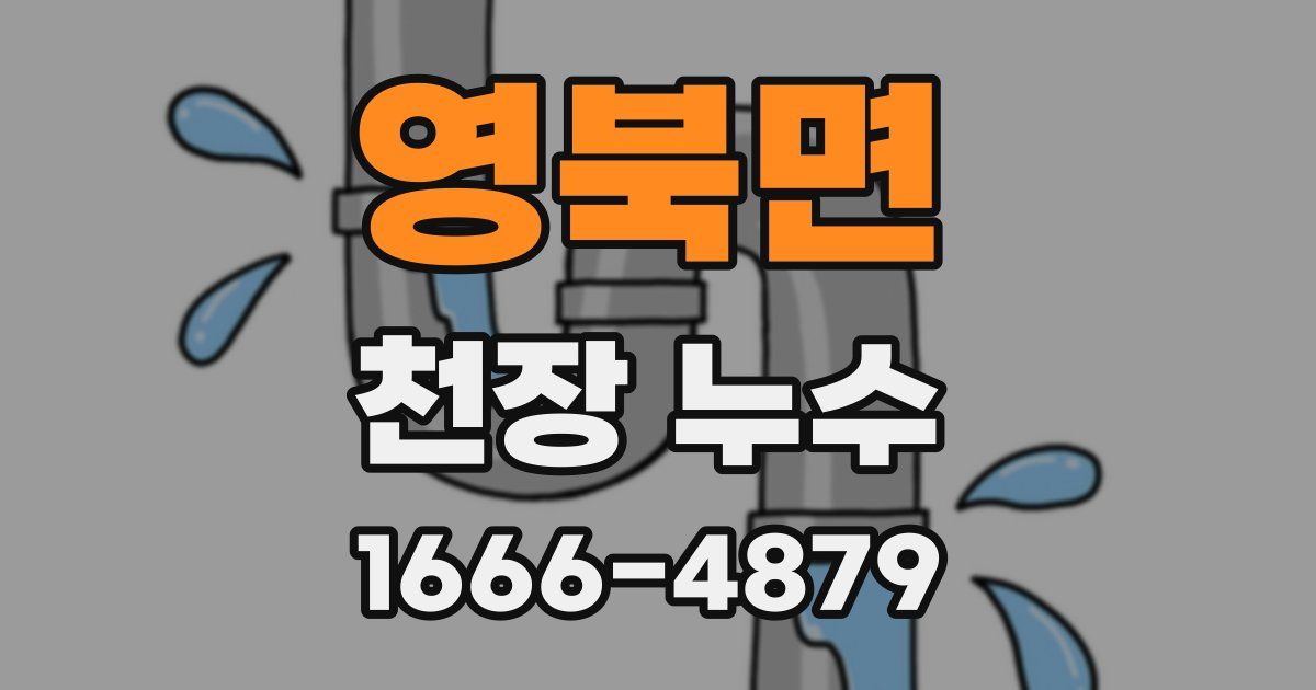 영북면 천장 누수