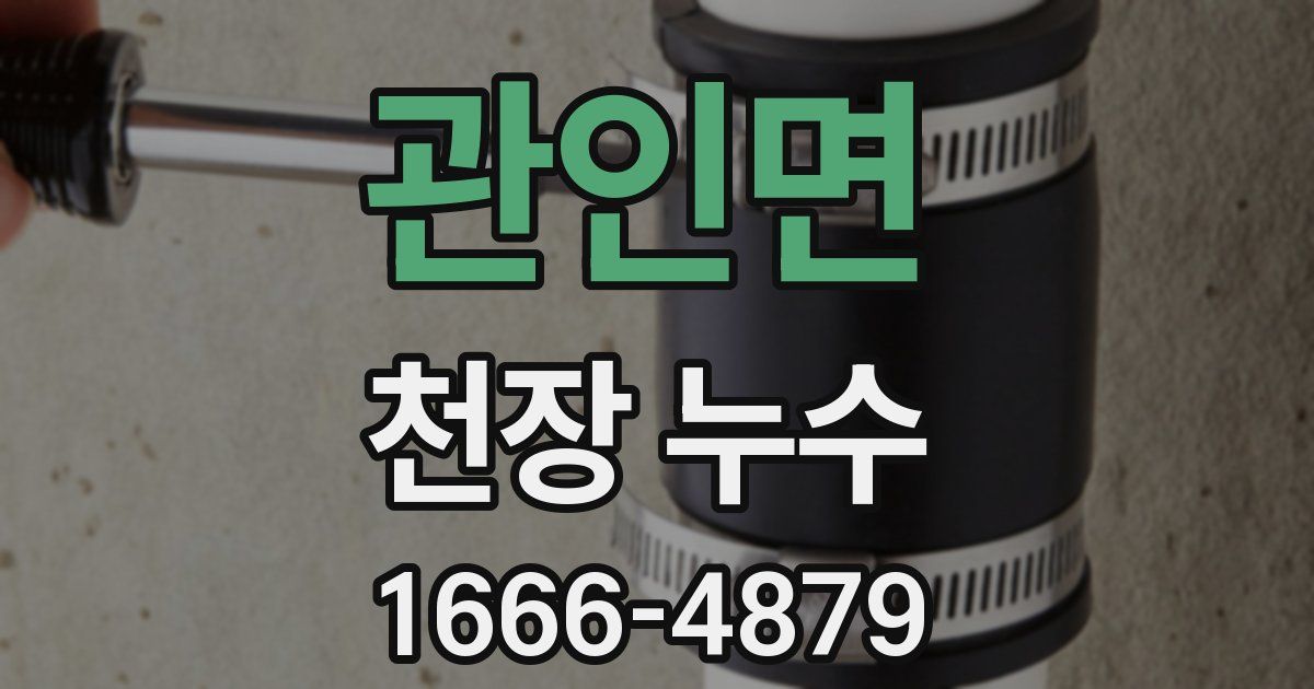 관인면 천장 누수