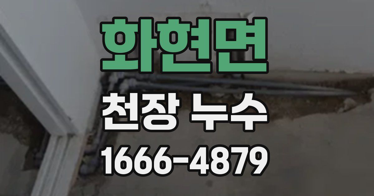 화현면 천장 누수