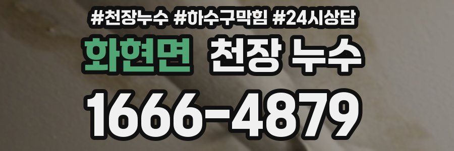 화현면 천장 누수