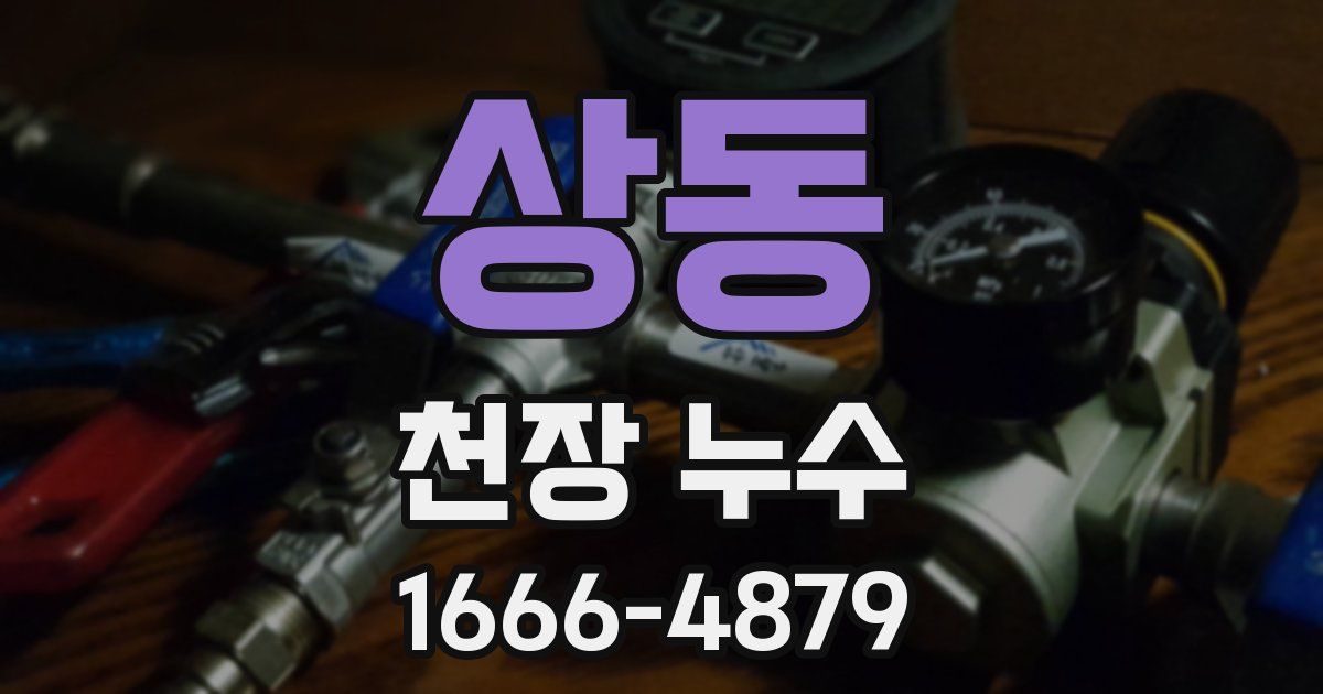 상동 천장 누수