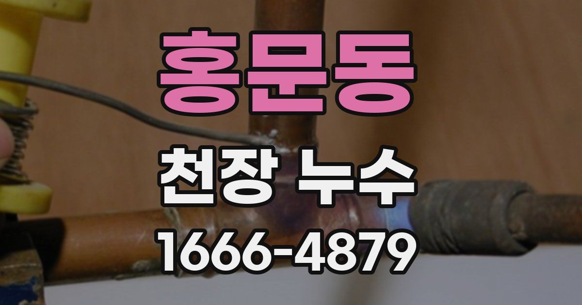 홍문동 천장 누수