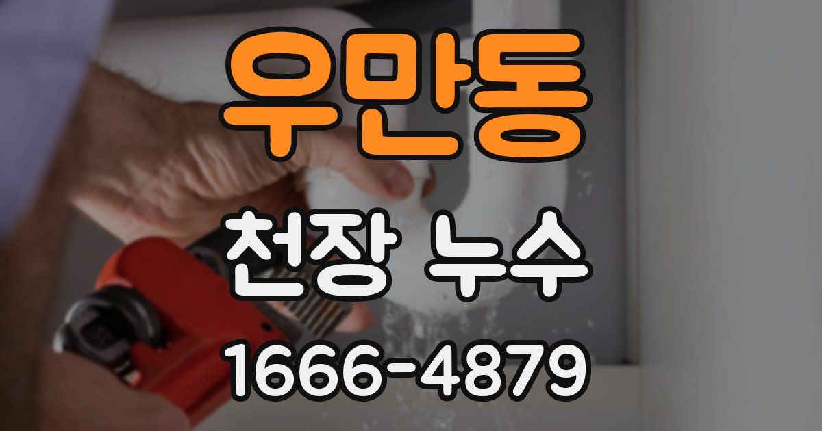 우만동 천장 누수