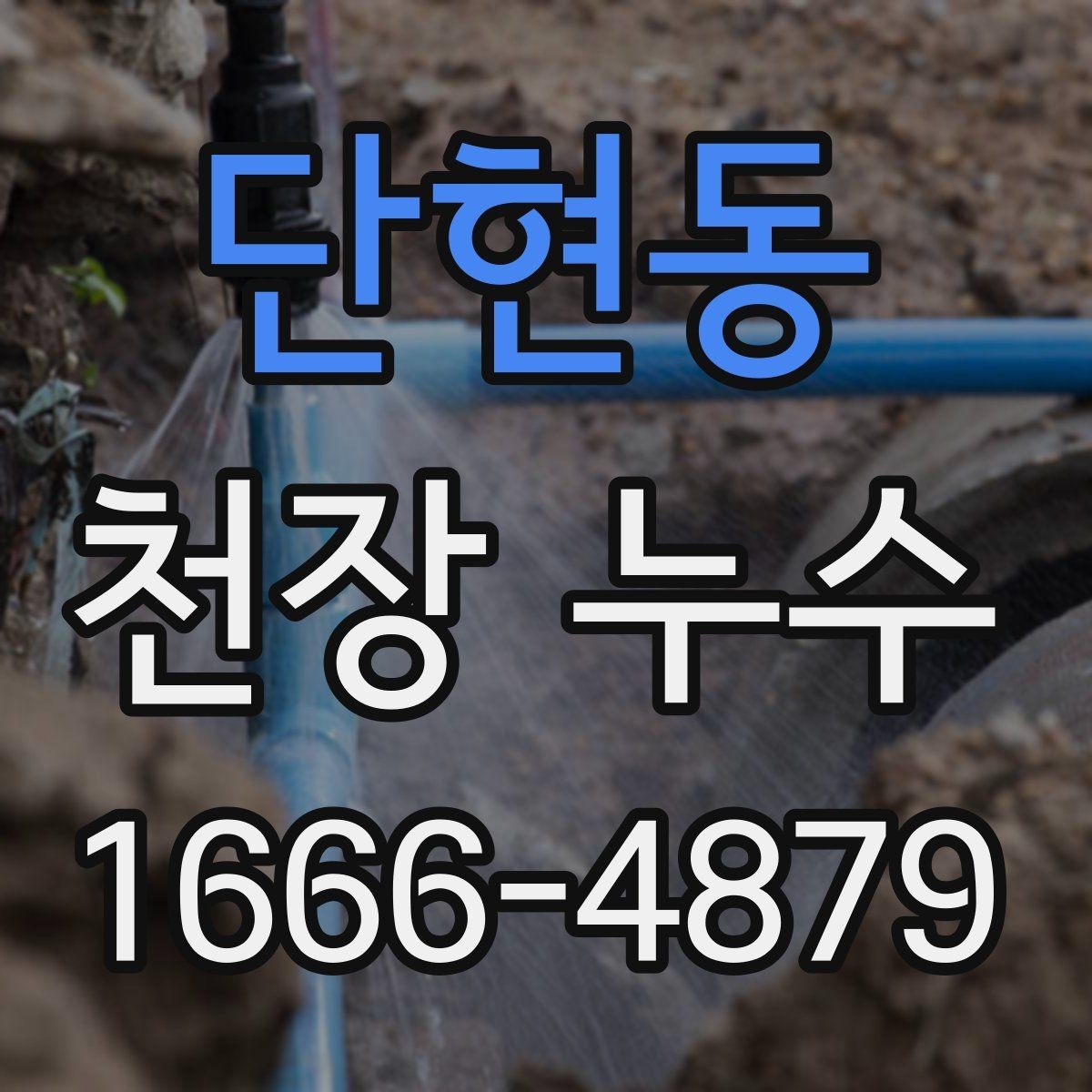 단현동 천장 누수 응급으로 할 수 있는 조치와 한계