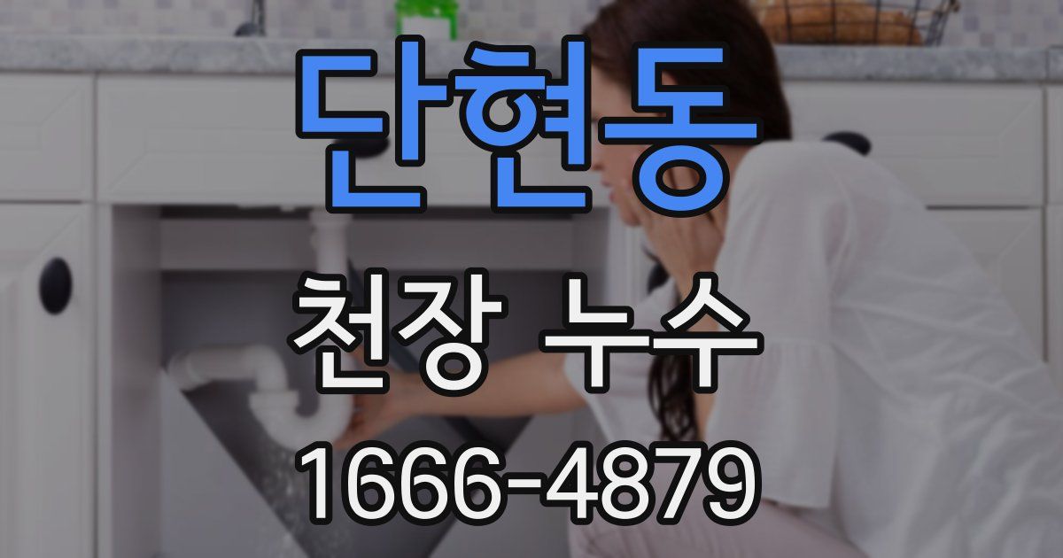 단현동 천장 누수