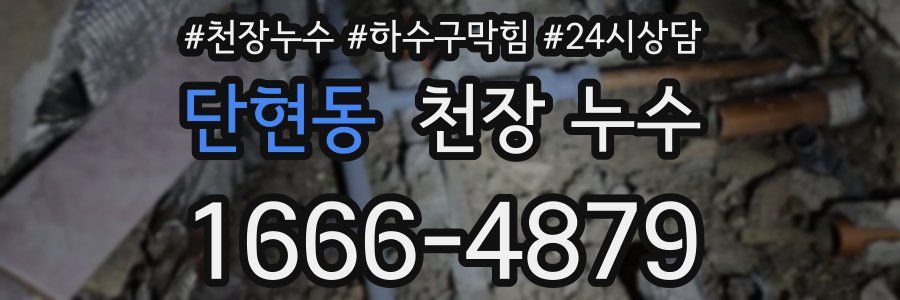 단현동 천장 누수
