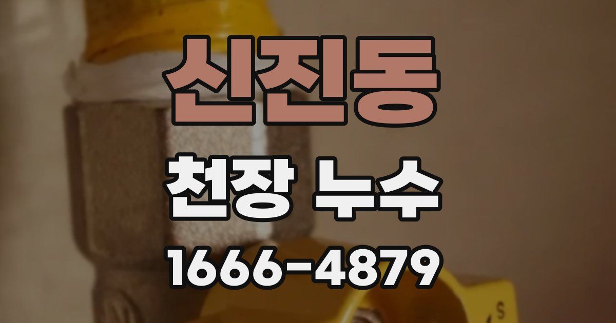 신진동 천장 누수