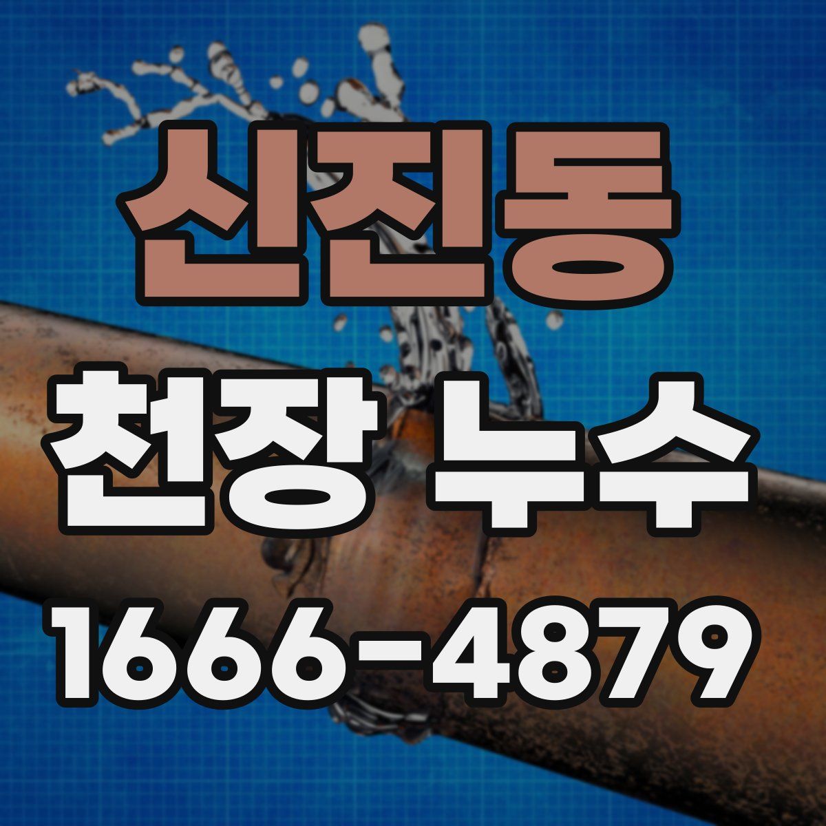 신진동 천장 누수