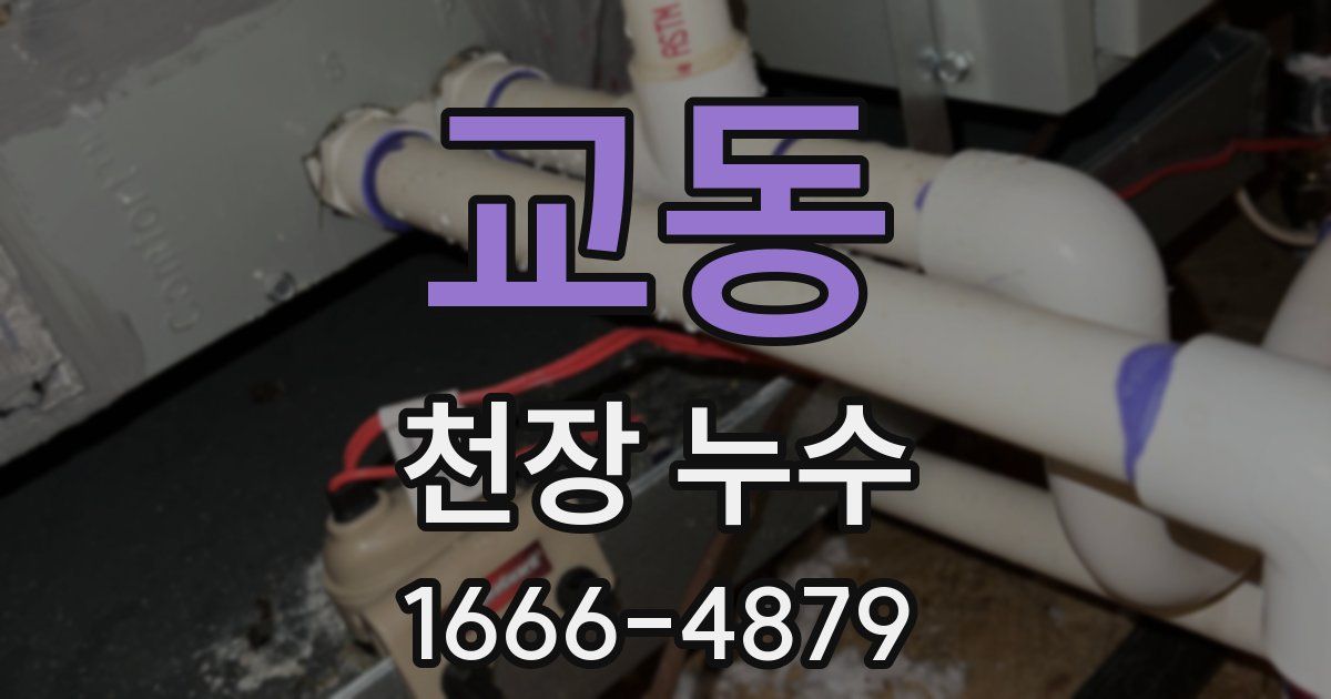 교동 천장 누수