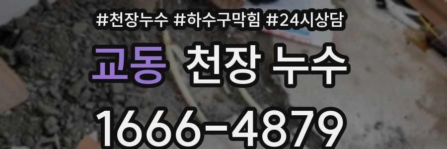 교동 천장 누수