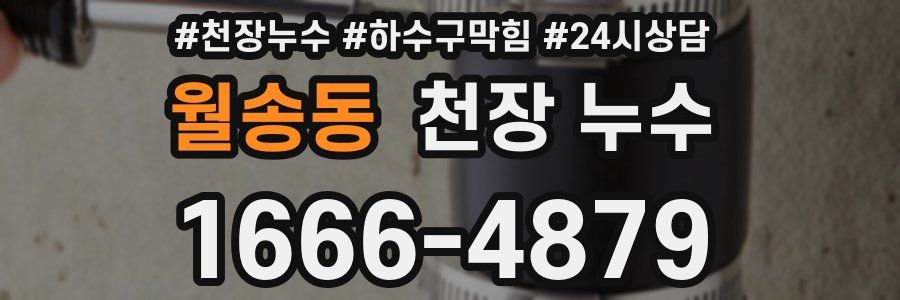 월송동 천장 누수