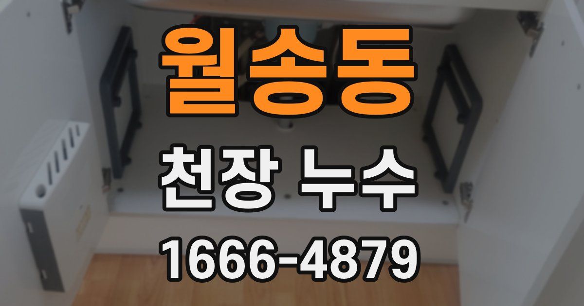 월송동 천장 누수