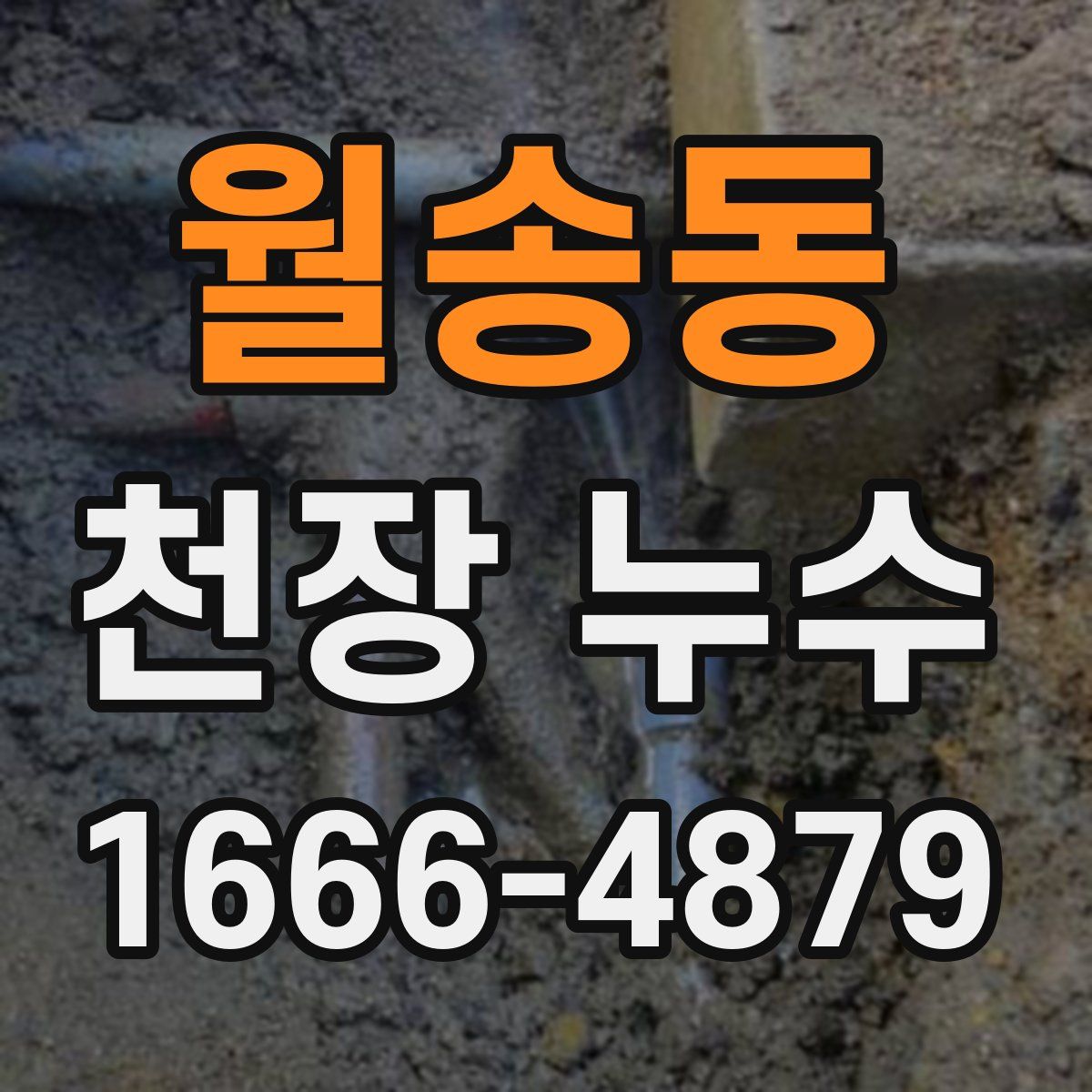 월송동 천장 누수