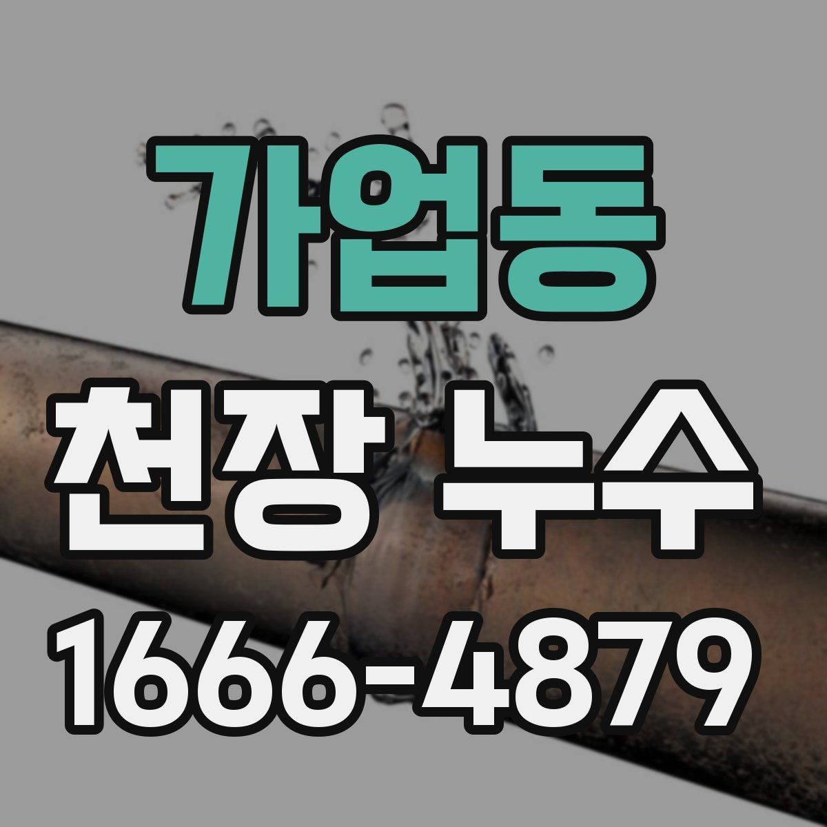 가업동 천장 누수 물이 흐르기 전 미리 잡기