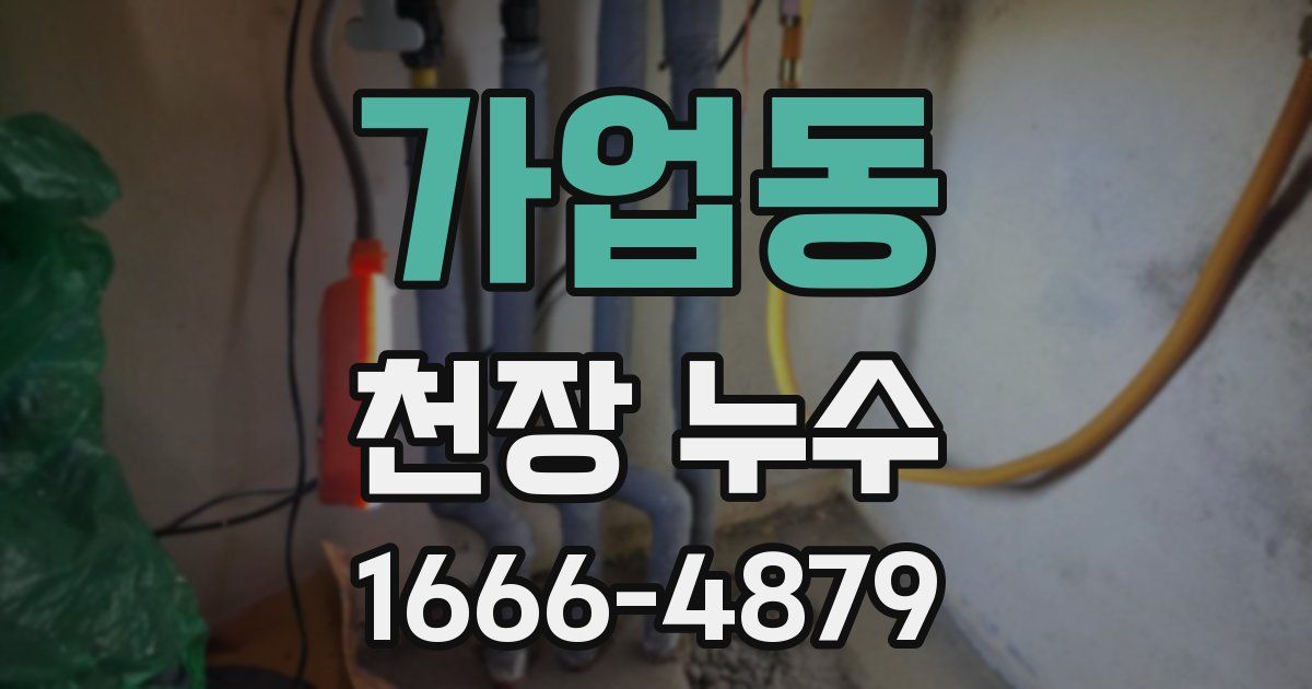 가업동 천장 누수